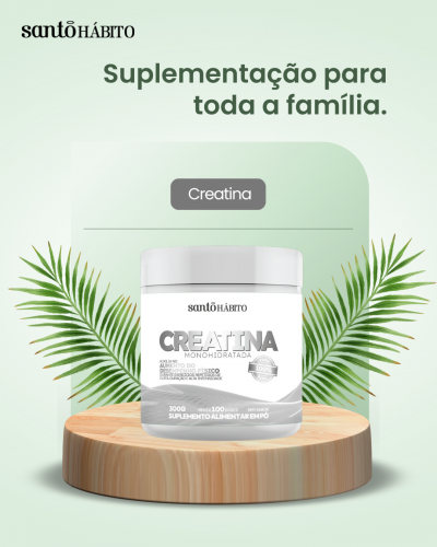 Suplemento Alimentar Creatina 300G Santo Hábito