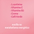 Metaslim com 90 Capsulas Santo Habito