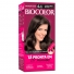 Kit Tintura Biocolor Mini Louro Cinza Escuro 6.1 50g